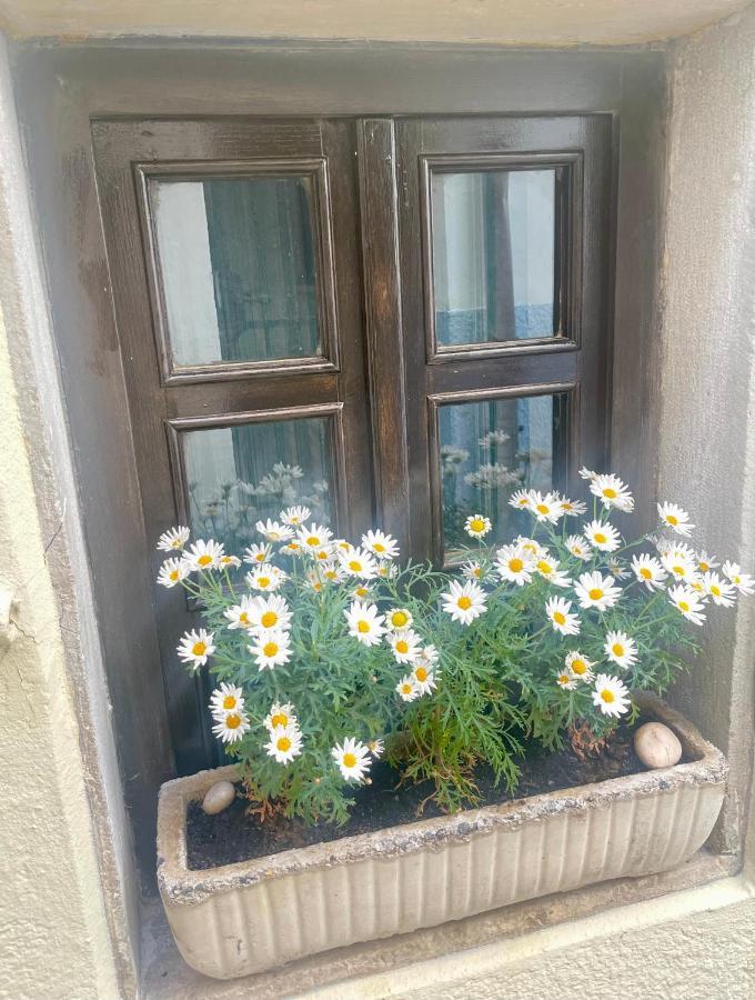 Apartment Luna